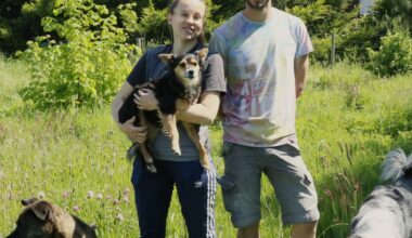 La Fouillouse. Chez Naïla et Steven, les chiens sont bichonnés