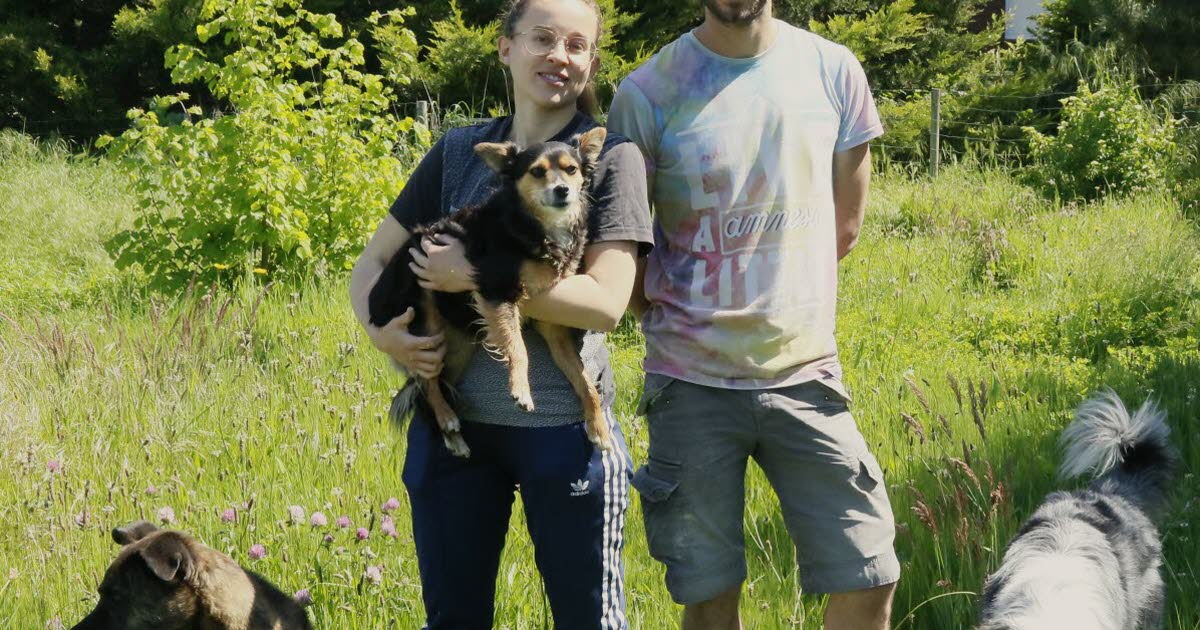La Fouillouse. Chez Naïla et Steven, les chiens sont bichonnés