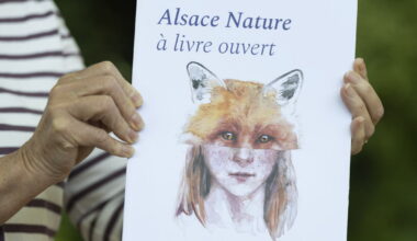 Édition. Soixante ans de nature alsacienne dans un livre