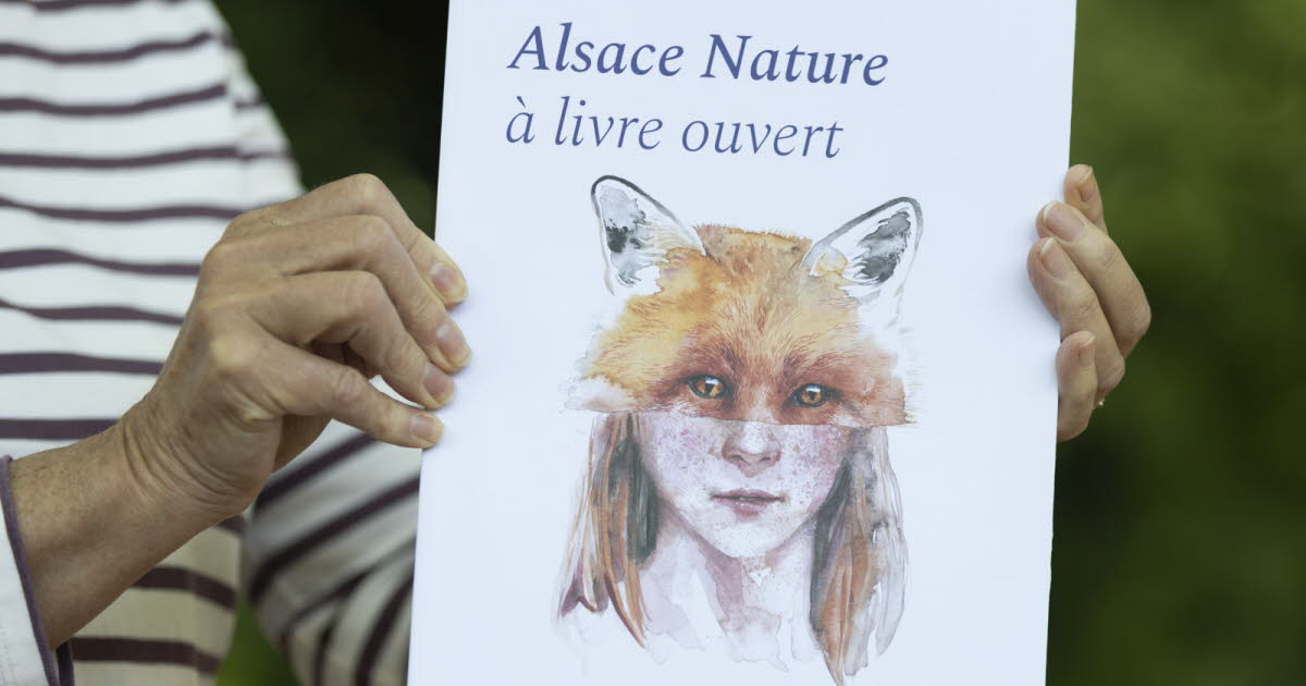Édition. Soixante ans de nature alsacienne dans un livre