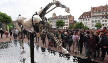 Strasbourg. Zeus, le mythique cheval des JO de Paris 2024, est arrivé sur la terrasse du palais Rohan