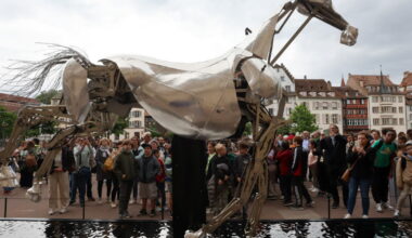 Strasbourg. Zeus, le mythique destrier des JO de Paris 2024, galope devant le palais Rohan