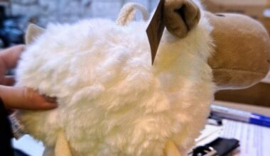 Région. Six mille peluches saisies par la douane de Marseille