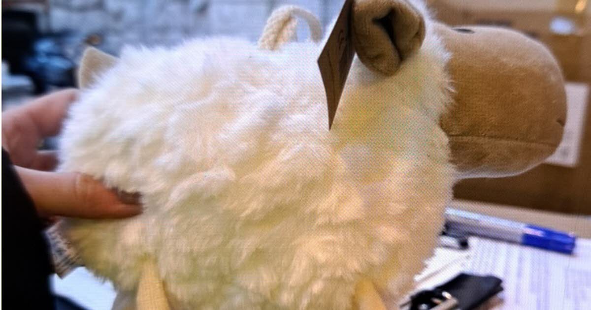 Région. Six mille peluches saisies par la douane de Marseille