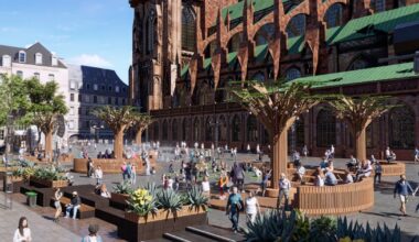 Strasbourg. Pour les animations d'été, la Ville fait pousser une petite forêt sur la place du Château