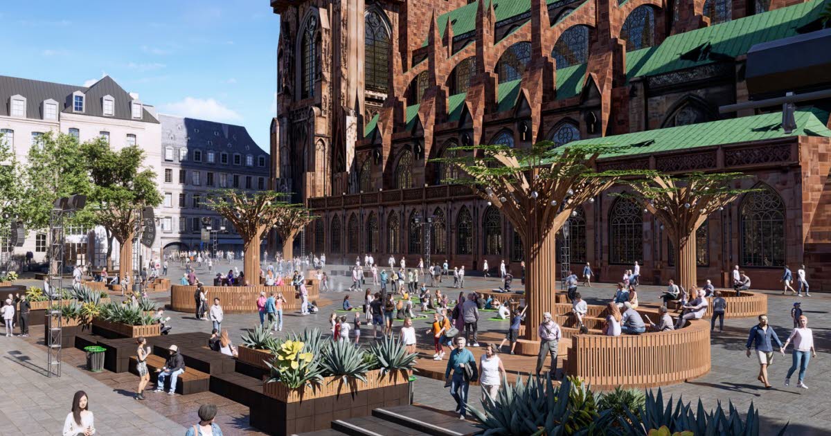 Strasbourg. Pour les animations d'été, la Ville fait pousser une petite forêt sur la place du Château