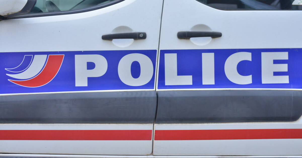 Métropole de Grenoble. Une contrôleuse de train frappée, deux jeunes hommes, dont un adolescent, interpellés