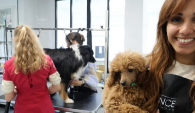 grâce à Sarah El Akbaa, la « vie de chien » n’est plus ce qu’elle était…