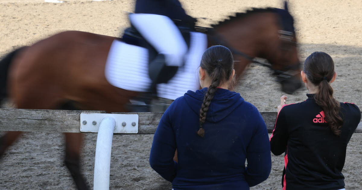Strasbourg. 200 cavaliers et un public nombreux pour la dixième édition des Galops du cœur