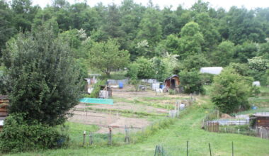 Firminy. Dans les jardins familiaux, on vient jardiner mais aussi se reposer