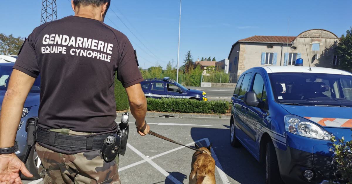 Métropole de Lyon. La nonagénaire disparue… retrouvée chez sa voisine