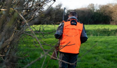 Fait divers. Un homme de 65 ans tué lors d'une partie de chasse près de Rennes