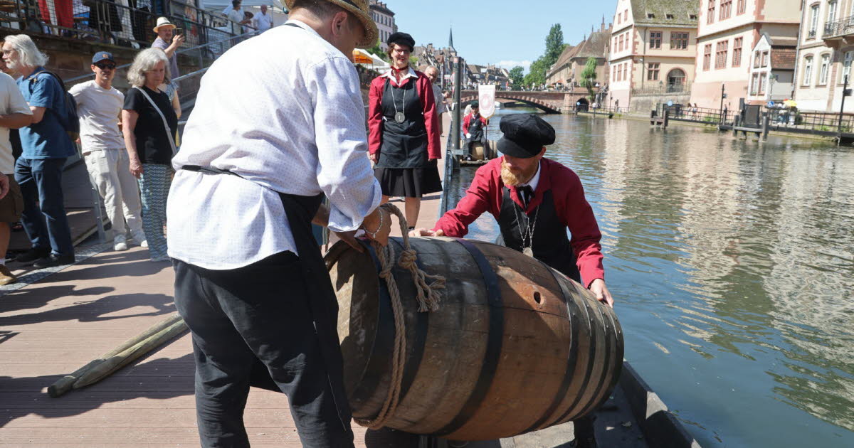 Strasbourg. La quatrième édition de Pages et Cépages fait la part belle à l’Histoire