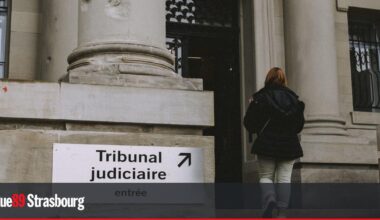 Rencontres avec des pros du droit au tribunal de Strasbourg, vendredi 23 mai