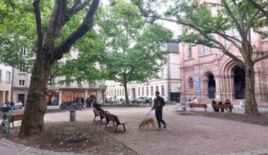 Travaux à Strasbourg. Cette place du centre-ville va totalement changer de visage