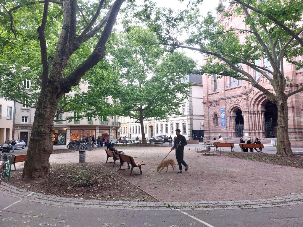 Travaux à Strasbourg. Cette place du centre-ville va totalement changer de visage