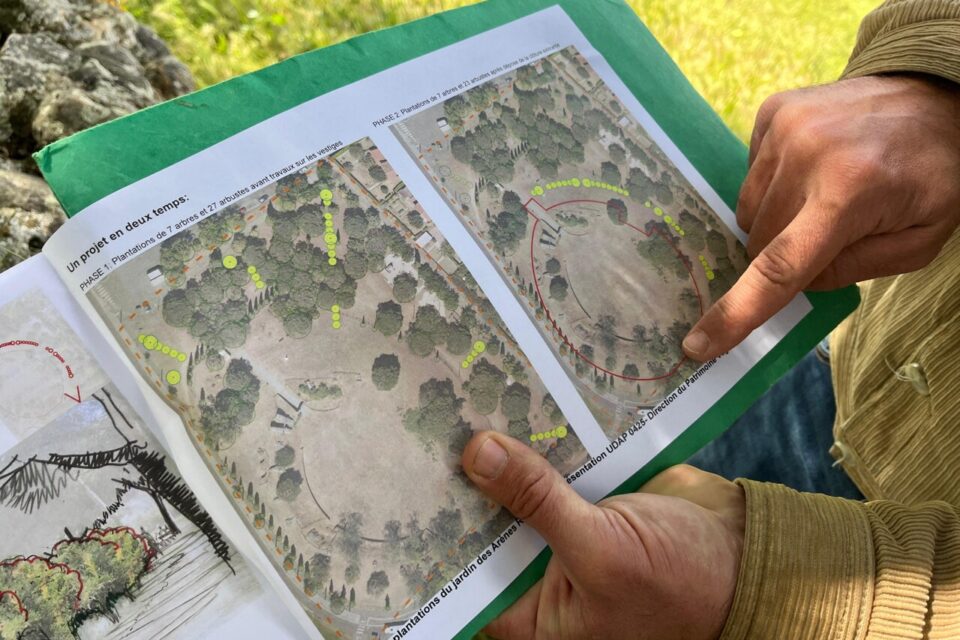 Des arbres et des arbustes seront replantés à la place de l'actuelle clôture et à travers le jardin public.