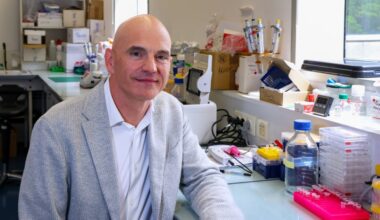 Un projet prometteur pour détecter plus tôt le cancer du pancréas