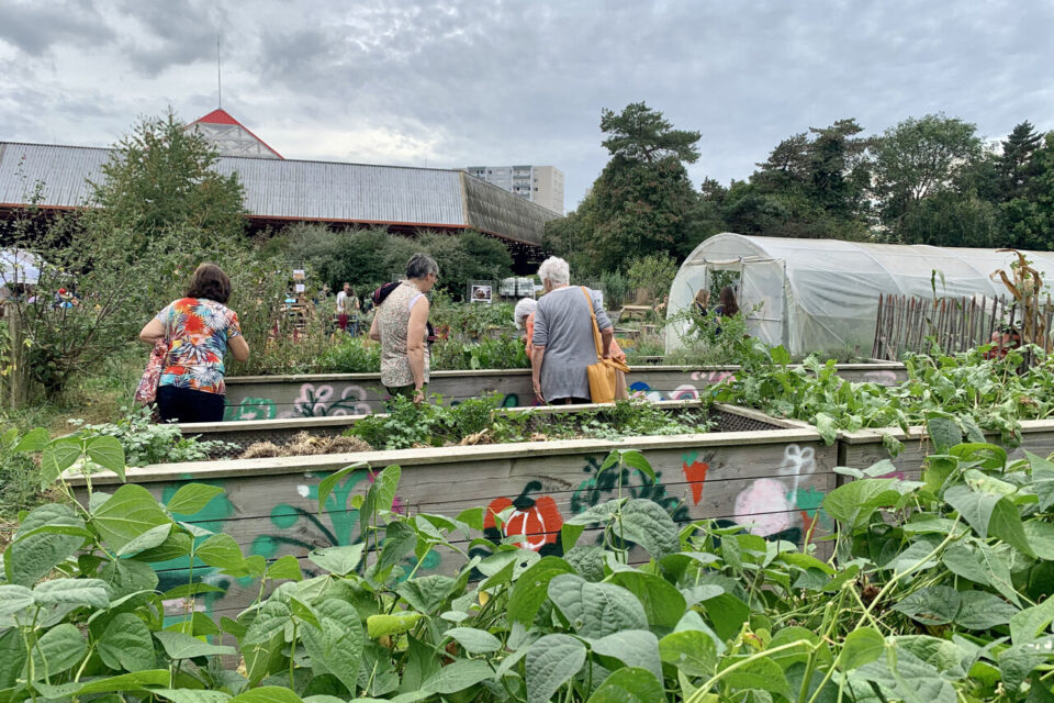 Le potager des cultures des Cols Verts