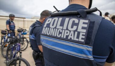 Un combat entre deux chiens interrompu par la police municipale à Marseille, 2 hommes transportés à l'hôpital