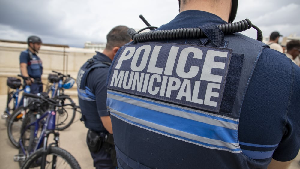 Un combat entre deux chiens interrompu par la police municipale à Marseille, 2 hommes transportés à l'hôpital