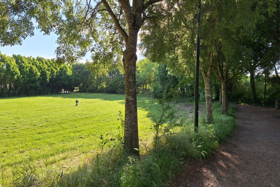 Pour le comité, il faut veiller à conserver les espaces verts.