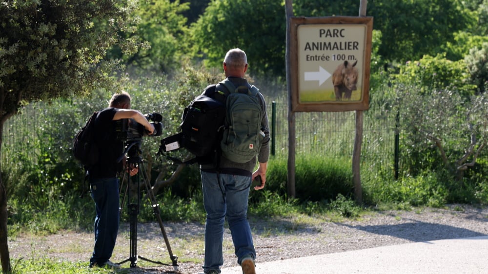 "Je n'ai jamais vu ça", la visite tourne au cauchemar et fait un blessé grave
