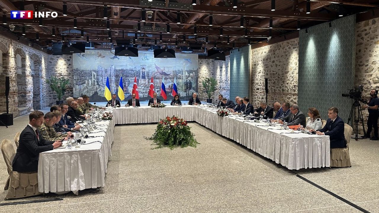 Guerre en Ukraine : ce qu'il faut retenir des pourparlers entre Kiev et Moscou, en l'absence de leurs dirigeants