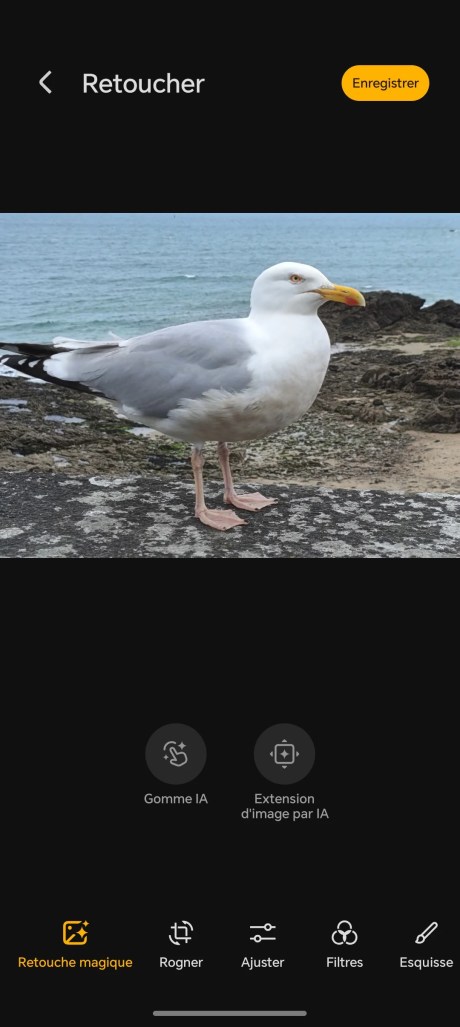 Screenshot_20250501_201603_com_hihonor_photos_GalleryMain Screenshot_20250501_201603_com_hihonor_photos_GalleryMain