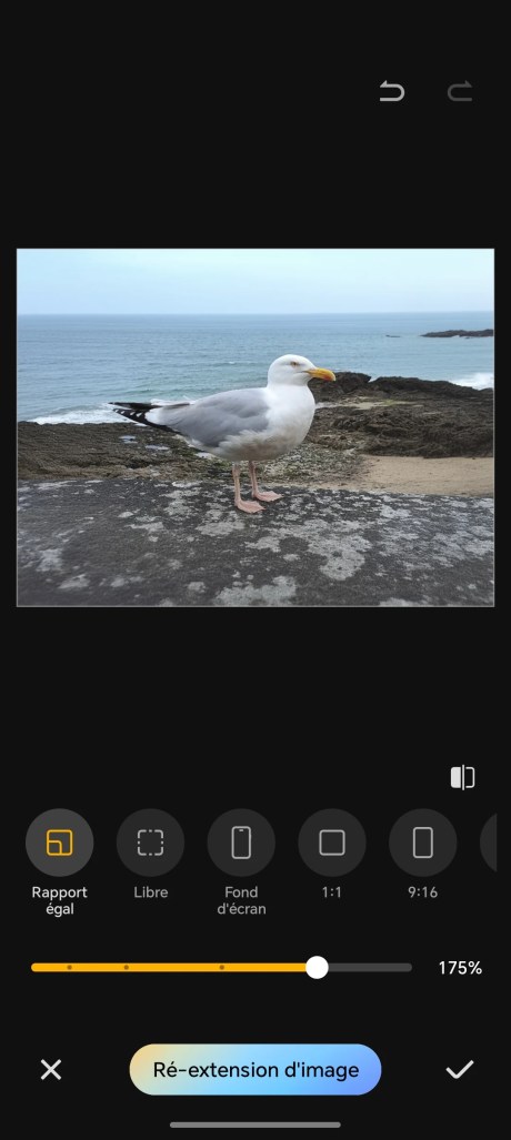 Screenshot_20250501_201643_com_hihonor_photos_GalleryMain Screenshot_20250501_201643_com_hihonor_photos_GalleryMain