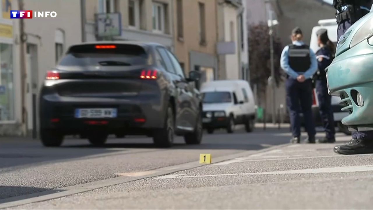 Gendarme blessé lors d'un rodéo urbain près de Nancy : ce que l'on sait