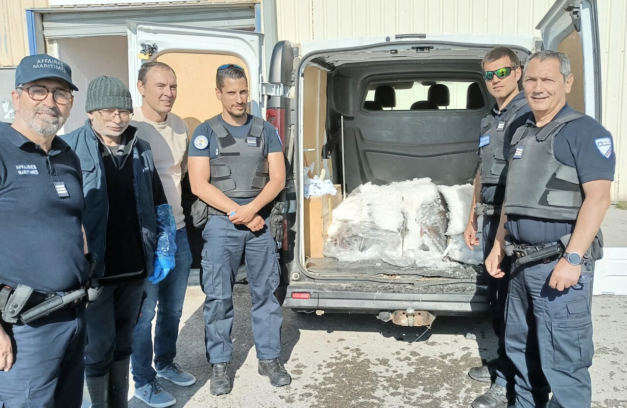 Marseille. Les autorités contrôlent ces pêcheurs et découvrent de graves infractions