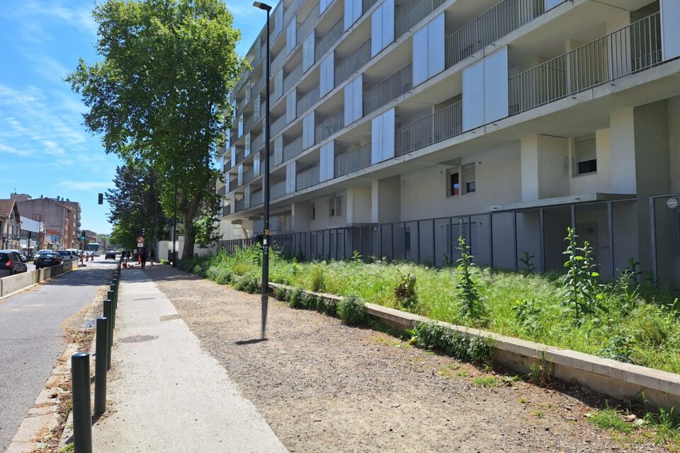 C'est devant cet immeuble que Jean-Luc Moudenc veut réfléchir à de nouveaux aménagements.