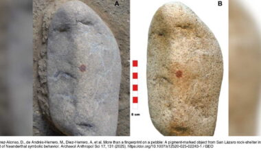 Une empreinte digitale vieille de 43000 ans relance le débat sur l'art chez Néandertal