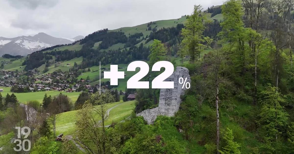 A contre-courant des tendances européennes, la Suisse connaît un boom des visas dorés - rts.ch