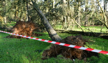 des vents violents et "puissants" attendus en France lundi, voici où ça va souffler