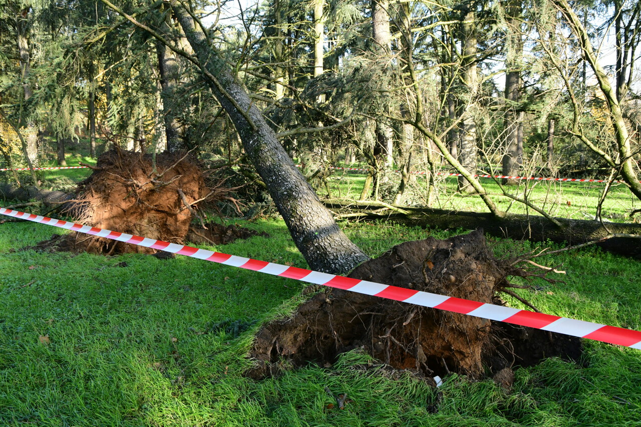 des vents violents et "puissants" attendus en France lundi, voici où ça va souffler