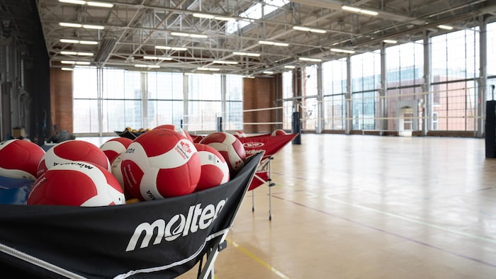 Des ballons de volleyball.