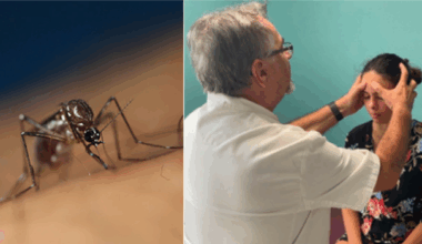 160 000 personnes ont consulté pour le Chikungunya depuis le début de l’année !