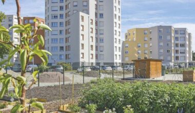 réaménagement des espaces extérieurs pour optimiser la qualité de vie urbaine et la gestion des eaux pluviales