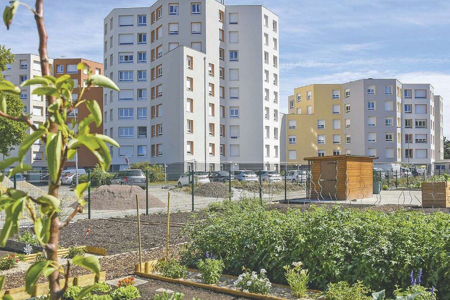 réaménagement des espaces extérieurs pour optimiser la qualité de vie urbaine et la gestion des eaux pluviales
