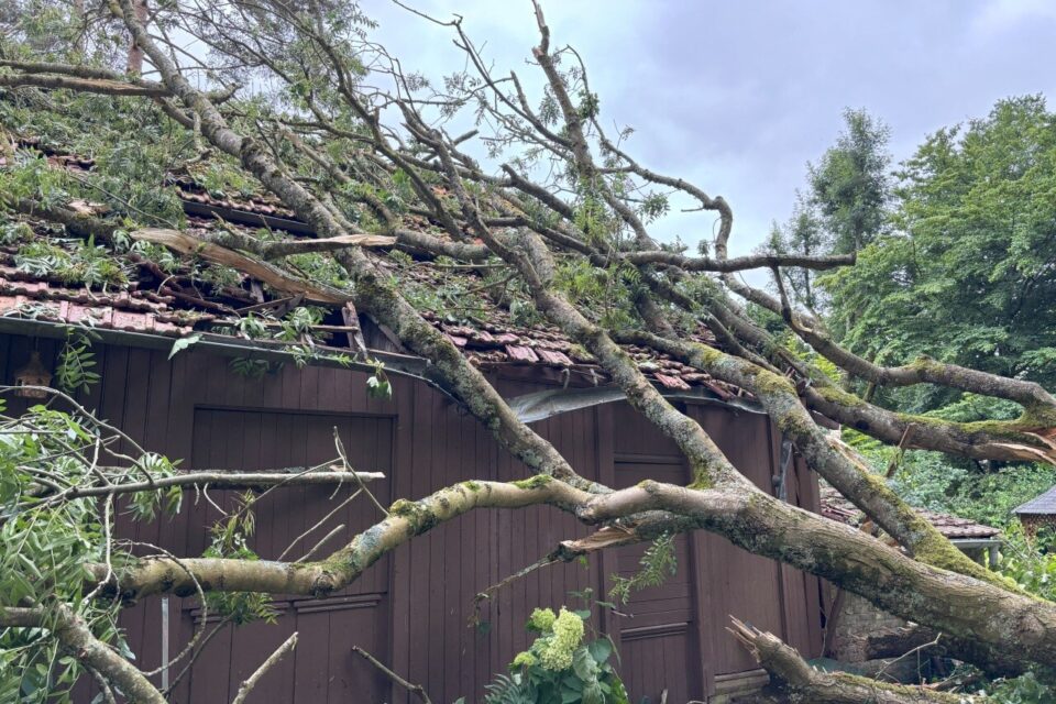 À Perriers-sur-Andelle, un arbre s'est écrasé sur le garage situé à quelques mètres de la maison de Josiane Betsch.