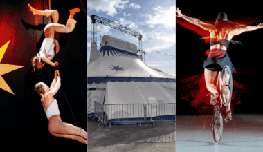 Graine de Cirque nous invite à 3 jours de haute voltige