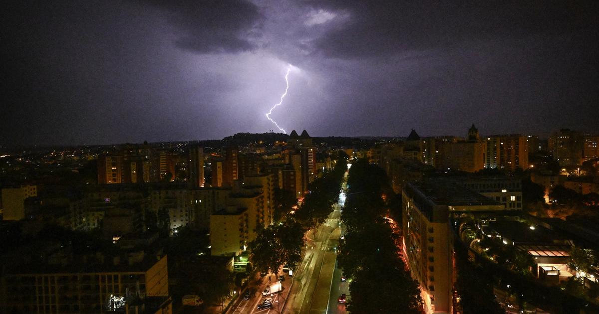 la jeune femme blessée vendredi soir par la chute d’une branche d’arbre à Paris est décédée