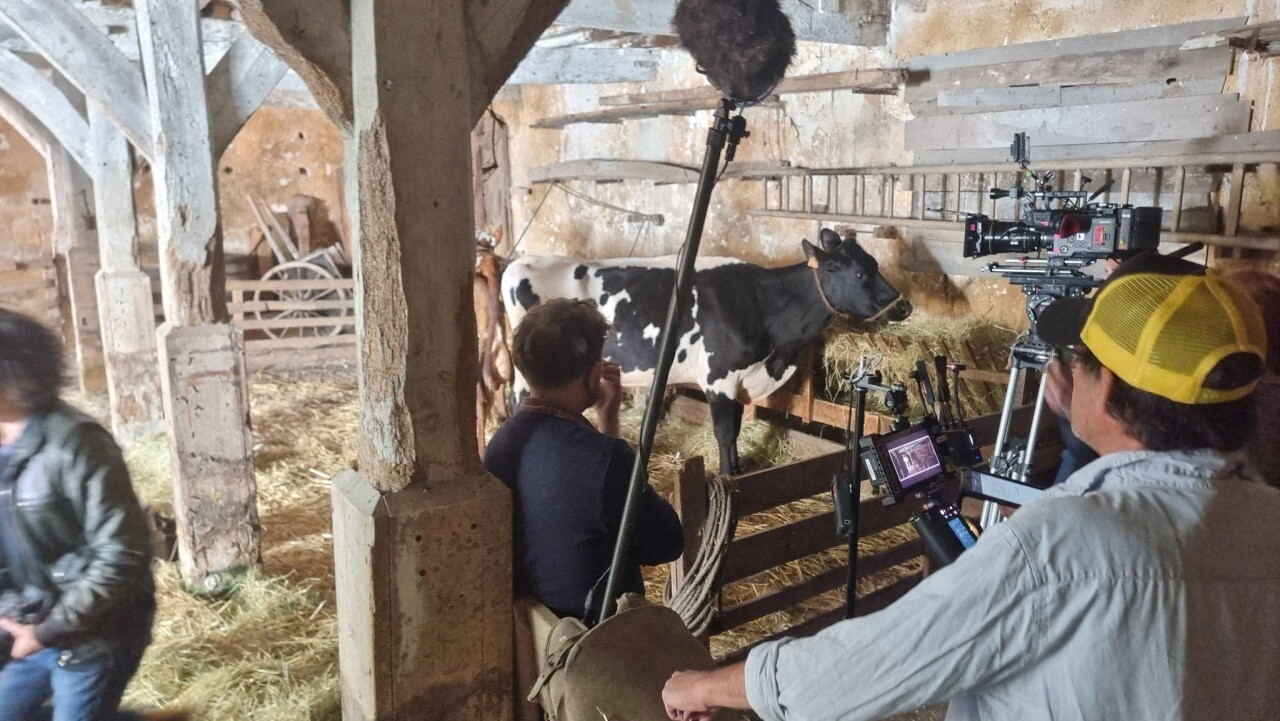 Ces deux vaches de Loire-Atlantique seront au casting du dernier film de Cédric Klapisch