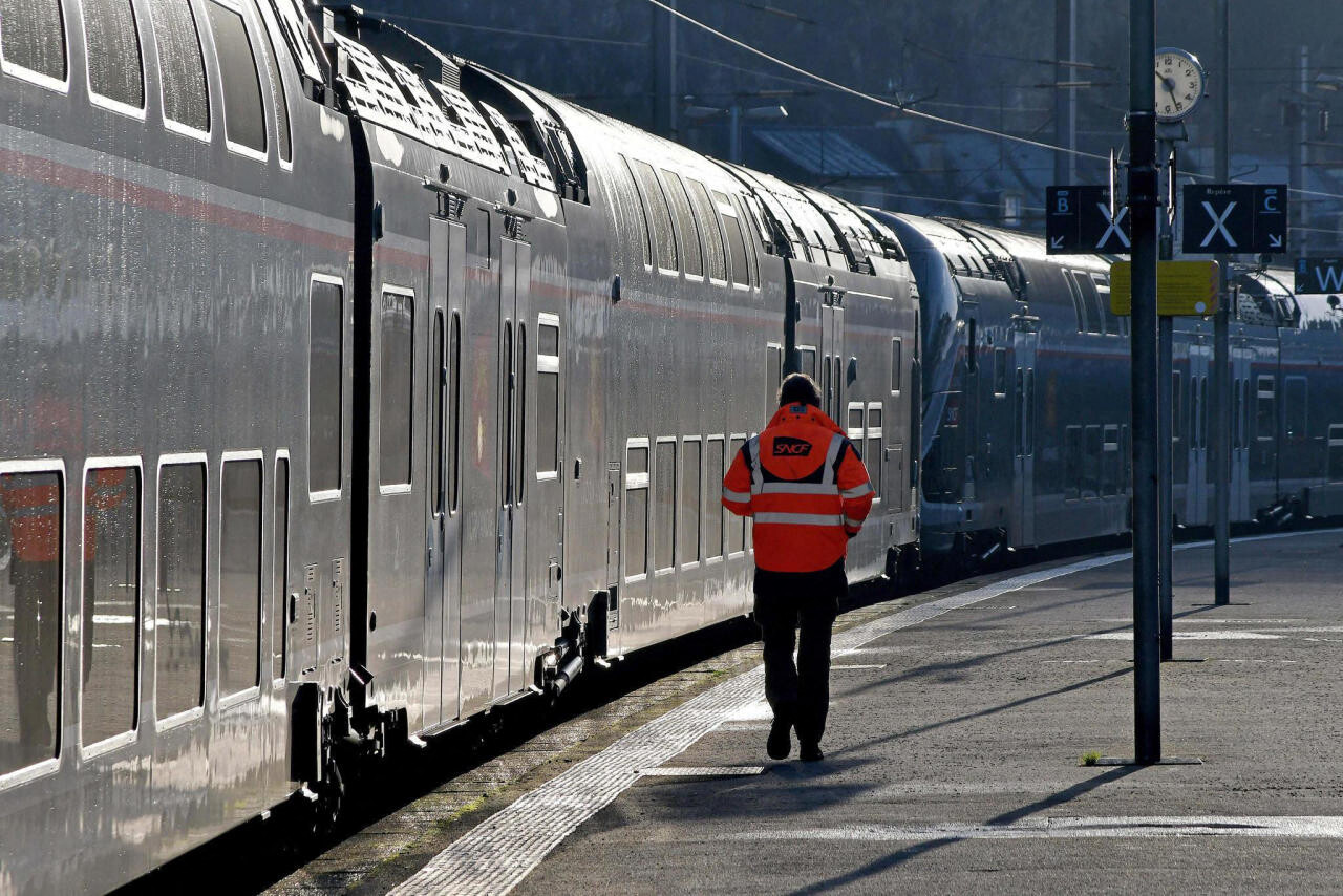 SNCF. Des animaux repérés sur les voies près de Rouen : la circulation toujours perturbée