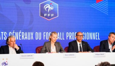 Redistribution, piratage... Le Sénat étudie une réforme qui pourrait bouleverser le sport professionnel français