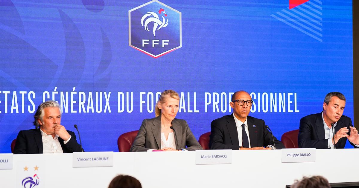 Redistribution, piratage... Le Sénat étudie une réforme qui pourrait bouleverser le sport professionnel français