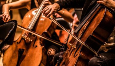 QUAND LES VIOLONCELLES REMPLACENT LES RÉUNIONS : LE SYLF RÉVOLUTIONNE L'ENTREPRISE !