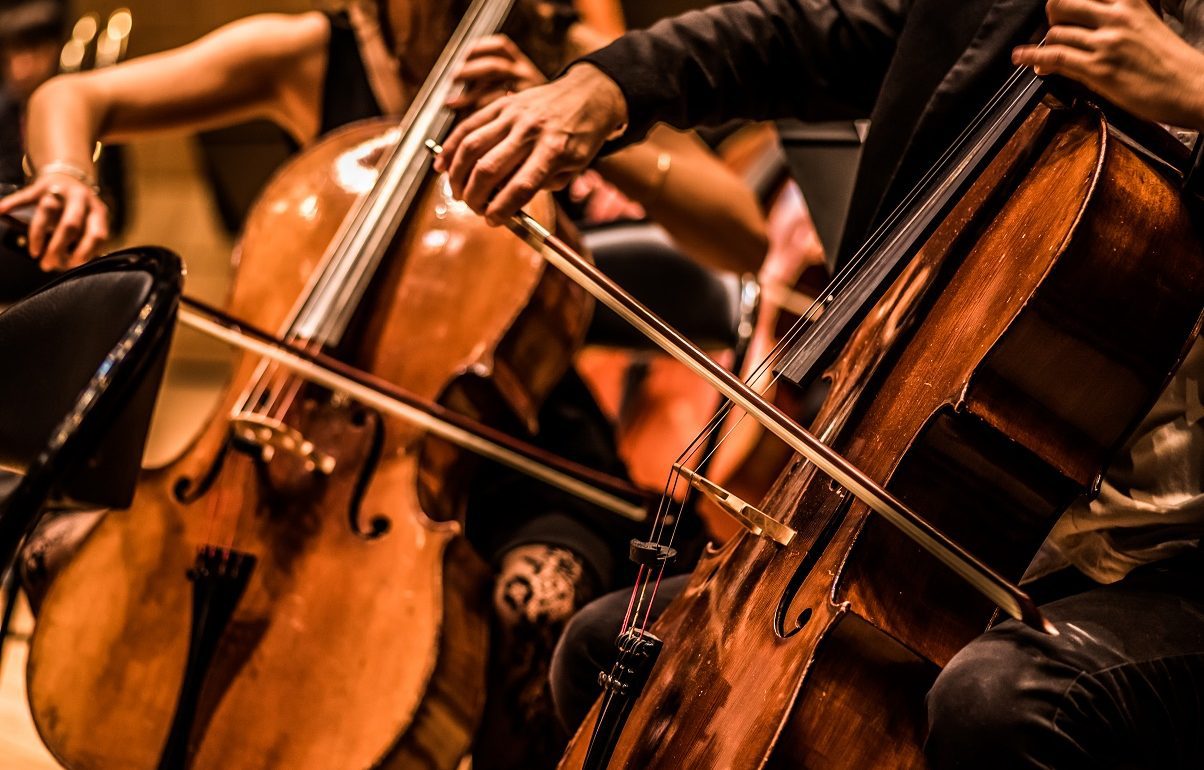QUAND LES VIOLONCELLES REMPLACENT LES RÉUNIONS : LE SYLF RÉVOLUTIONNE L'ENTREPRISE !
